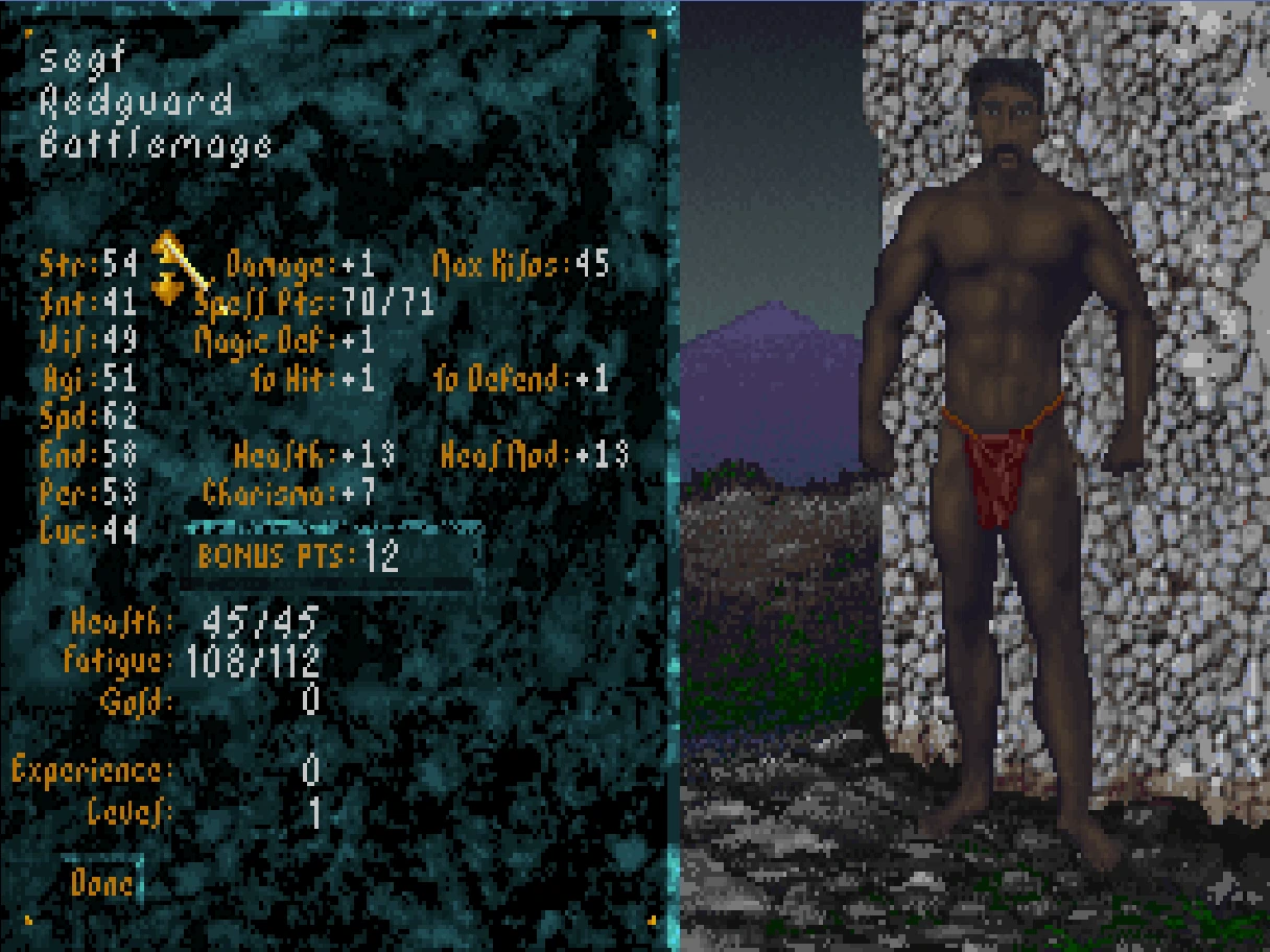 Arena Rebuilt character creation screen showing live attribute-point allocation